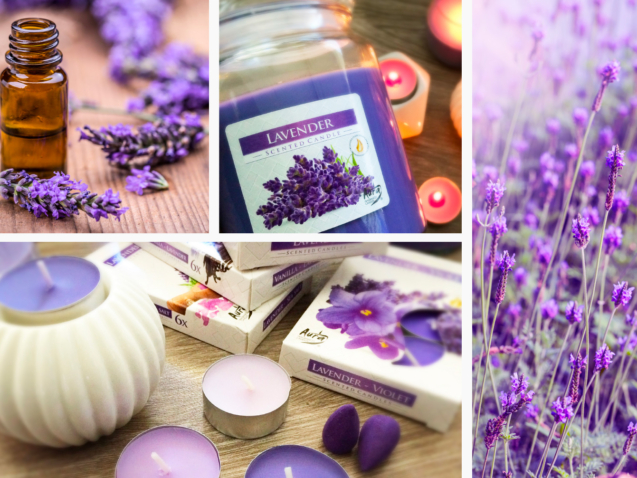 lavanda_artigo_1